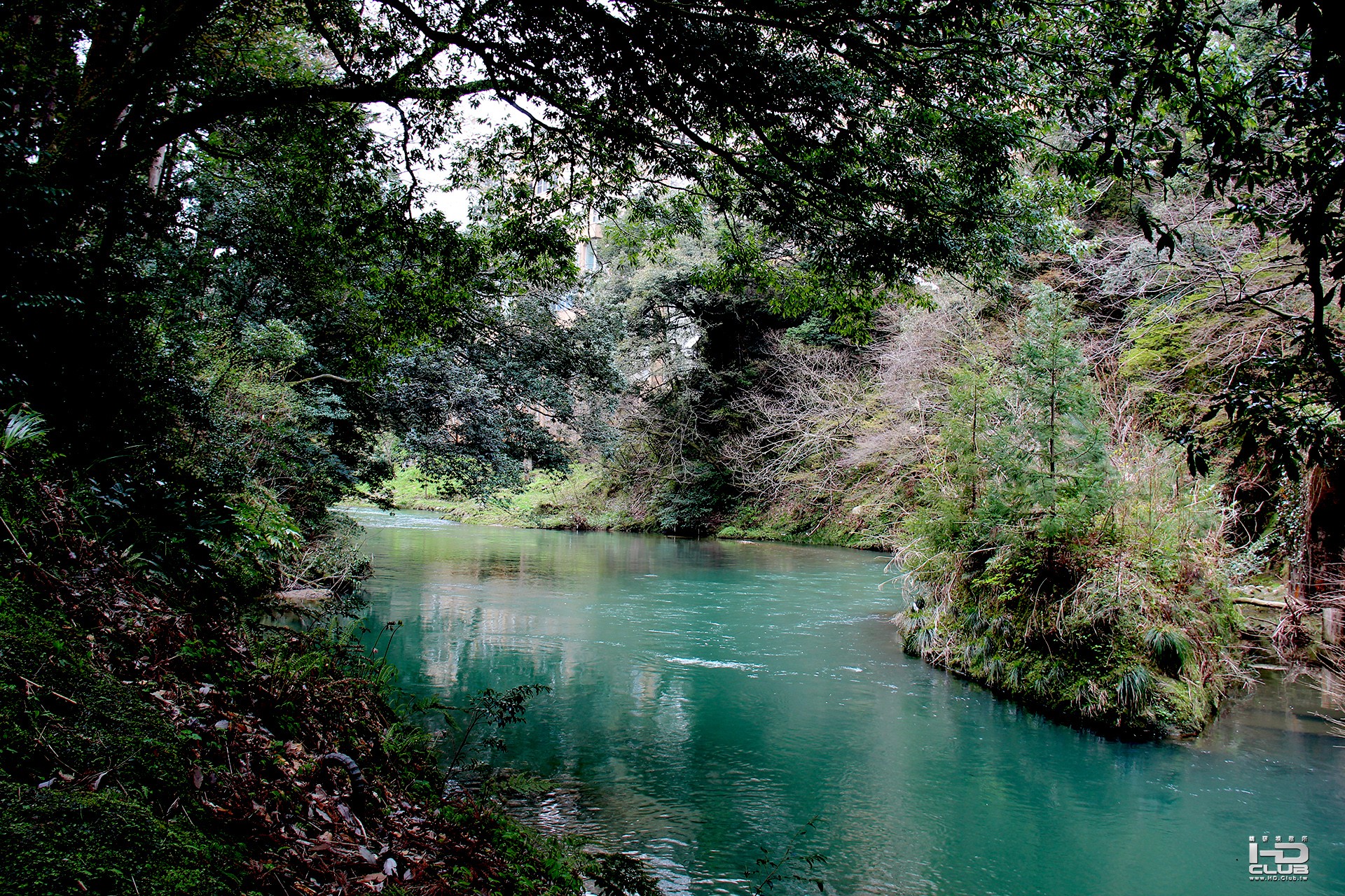 山中溫泉鶴仙溪 (1).jpg