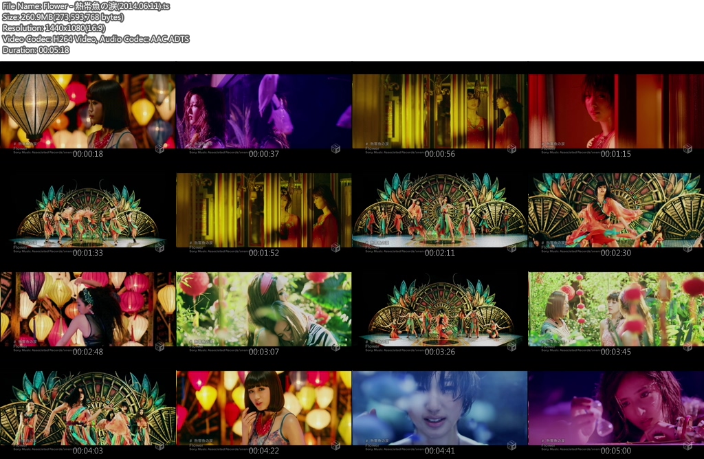 Flower - 熱帯魚の涙(2014.06.11).ts.jpg