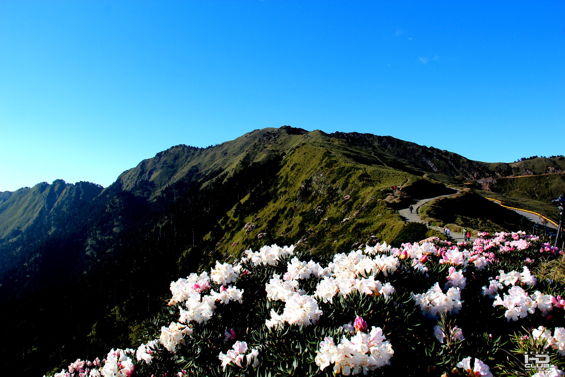 5月合歡山午後 (2).jpg