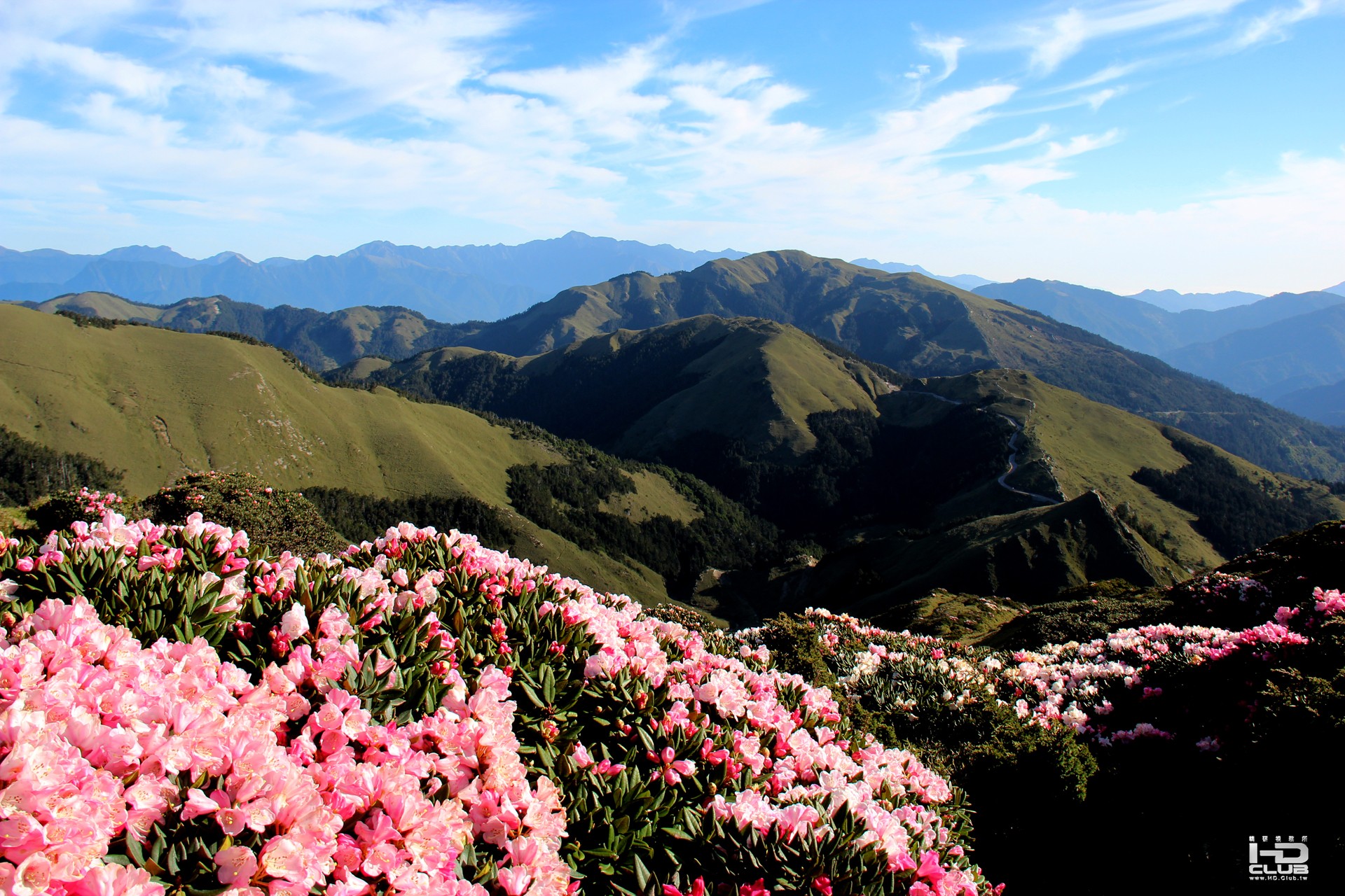 5月合歡山晨景 (15).jpg