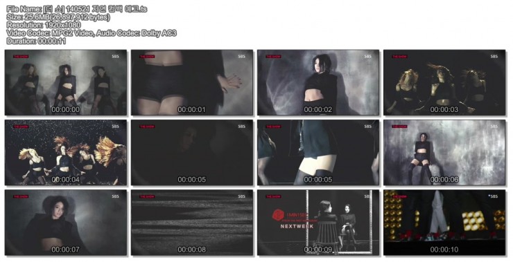 140521 더 쇼05.jpg