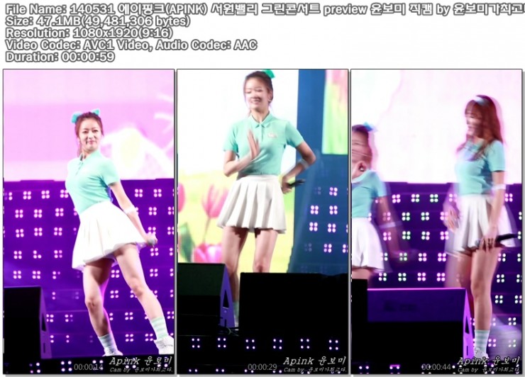 140531 에이핑크(APINK) 서원밸리 그린콘서트 preview 윤보미 직캠 by 윤보미가최고다.jpg