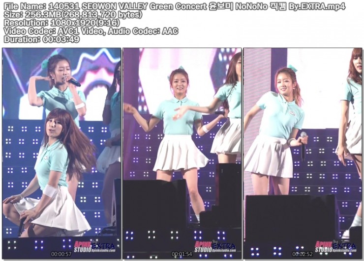 140531 SEOWON VALLEY Green Concert 윤보미 NoNoNo 직캠 By.EXTRA.mp4.jpg