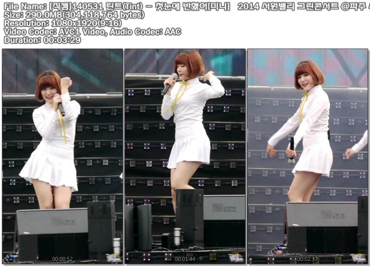 [직캠]140531 틴트(Tint) - 첫눈에 반했어[미니]   2014 서원밸리 그린콘서트 @파주 .jpg