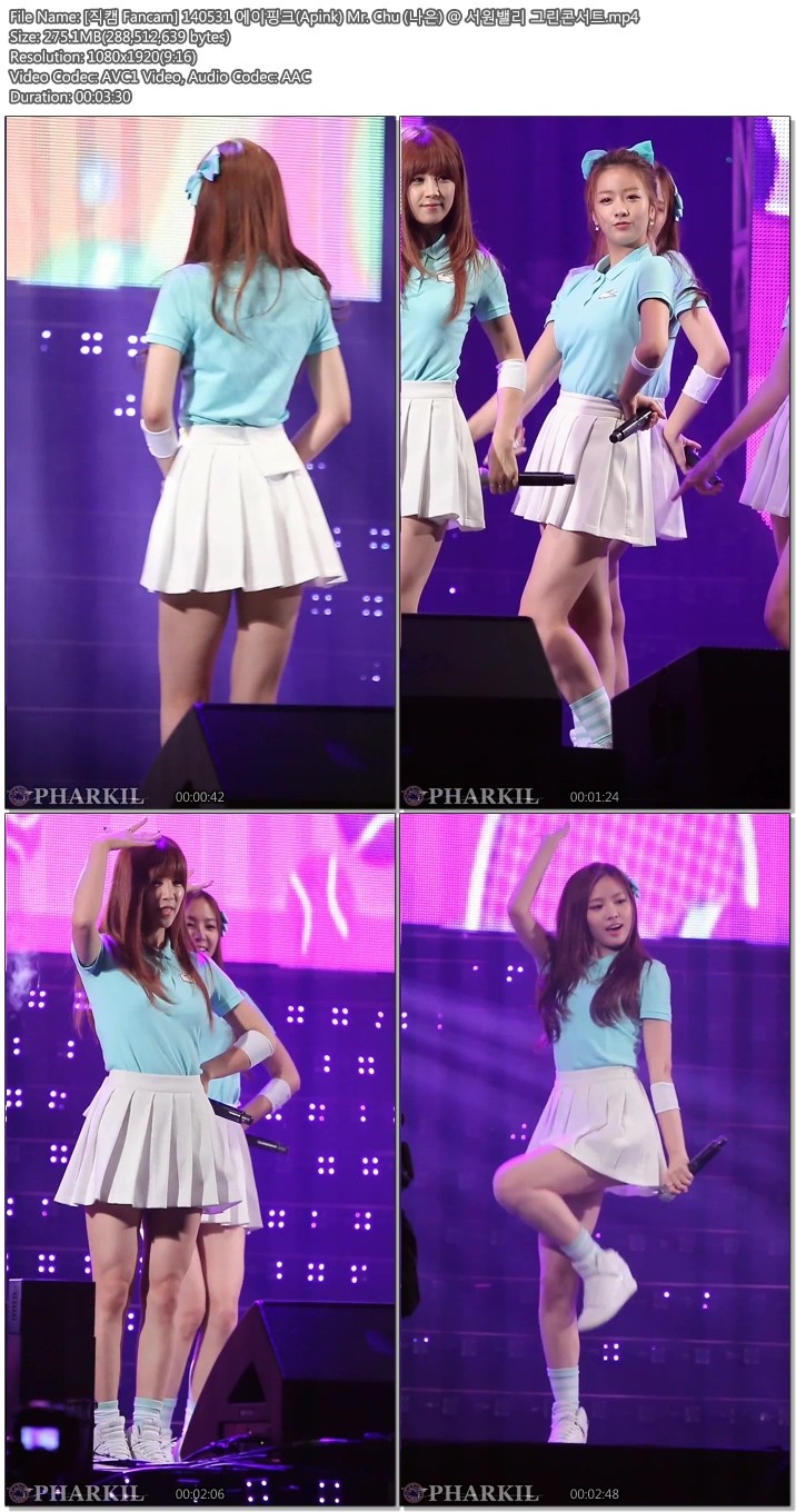 [직캠] 140531 서원밸리콘서트 에이핑크 모음 by pharkil01.jpg