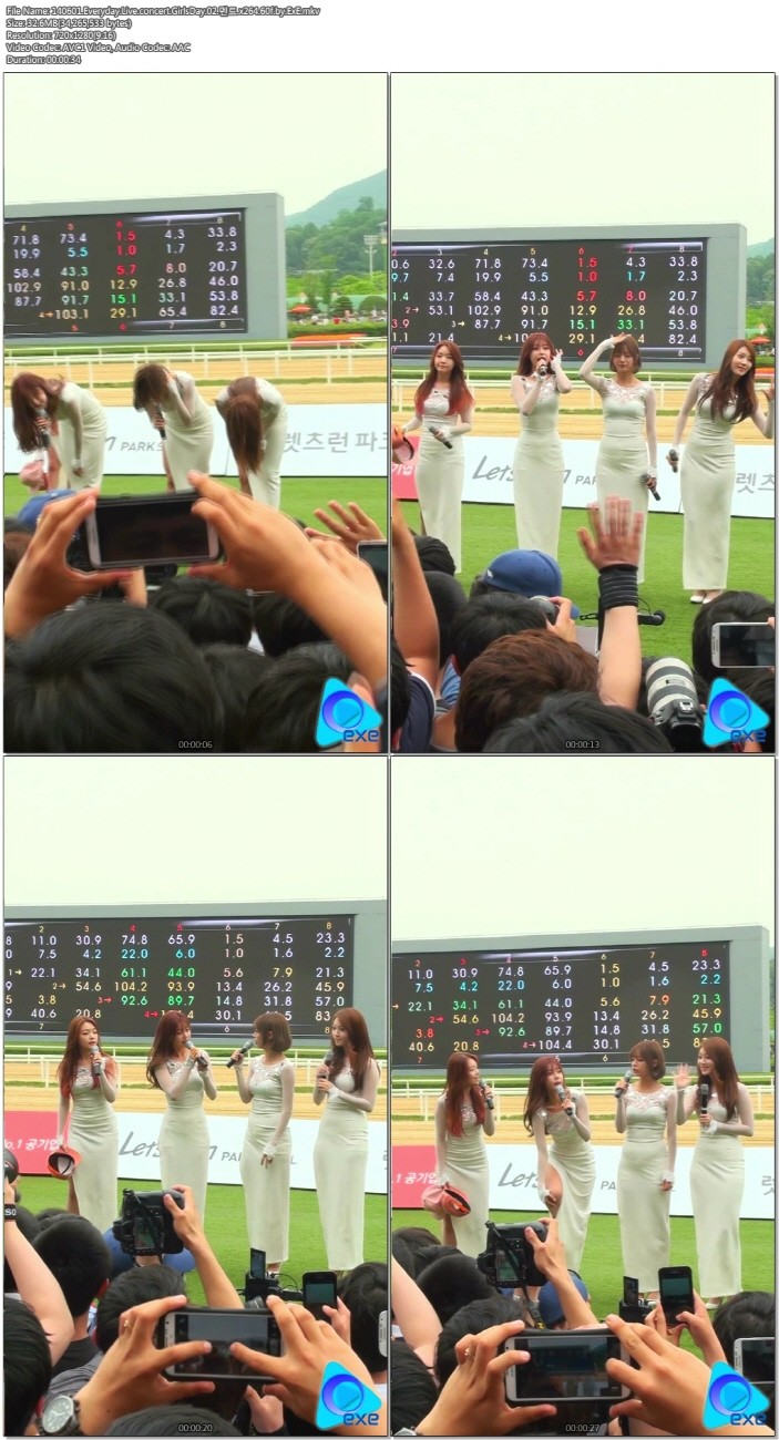 140601 Everyday Live concert 걸스데이 by ExE02.jpg