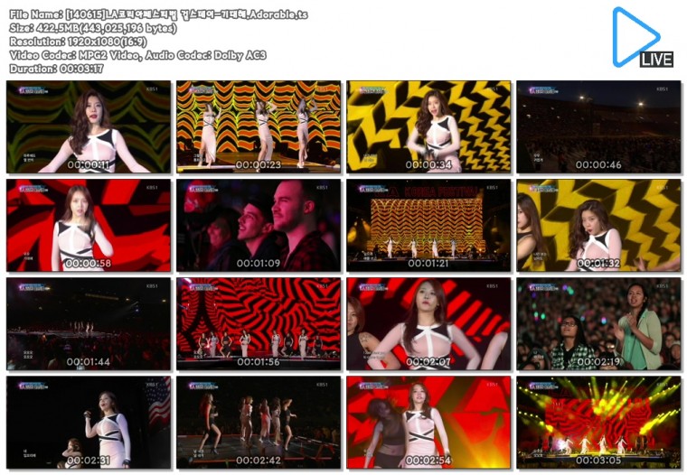 [140615]LA코리아페스티벌 걸스데이-기대해.Adorable.ts.jpg
