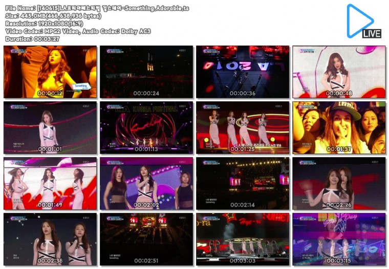[140615]LA코리아페스티벌 걸스데이-Something.Adorable.ts.jpg
