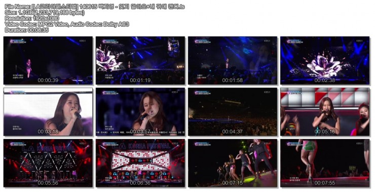 140615 LA 코리아 페스티벌 1부04.jpg