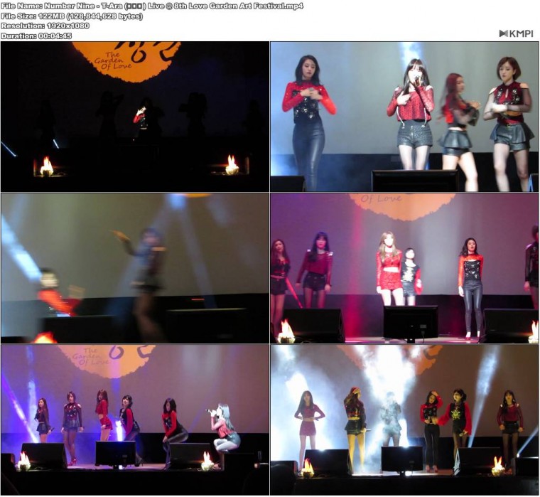 Number Nine - T-Ara (티아라) Live @ 8th Love Garden Art Festival.JPG