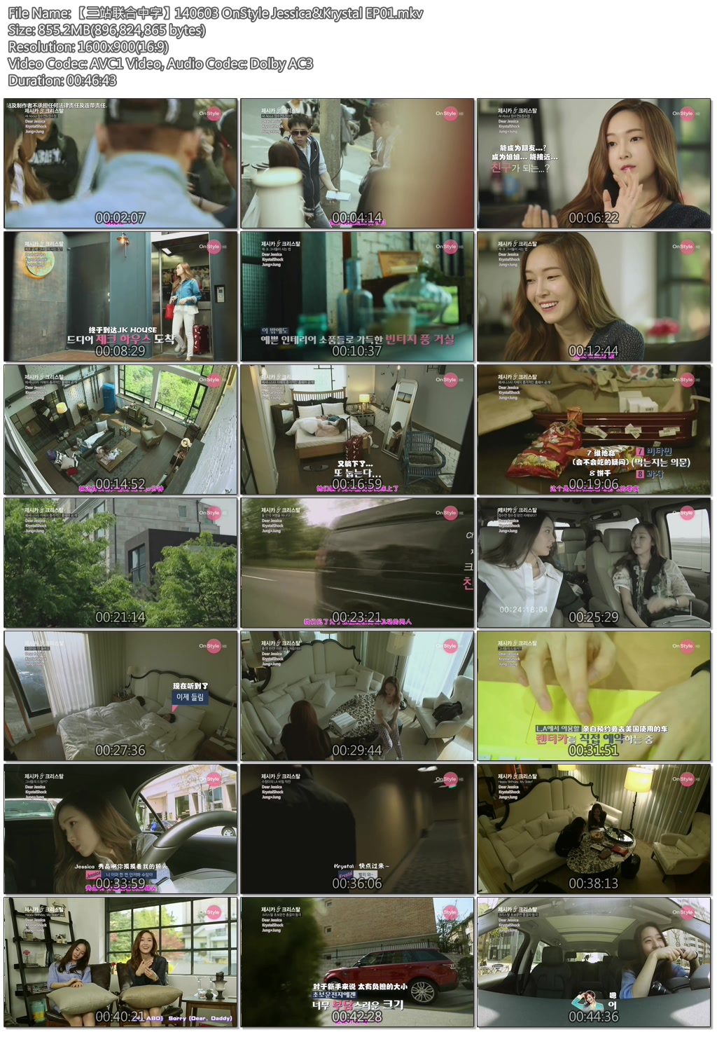 【三站聯合中字】140603 OnStyle Jessica&Krystal EP01.mkv.jpg