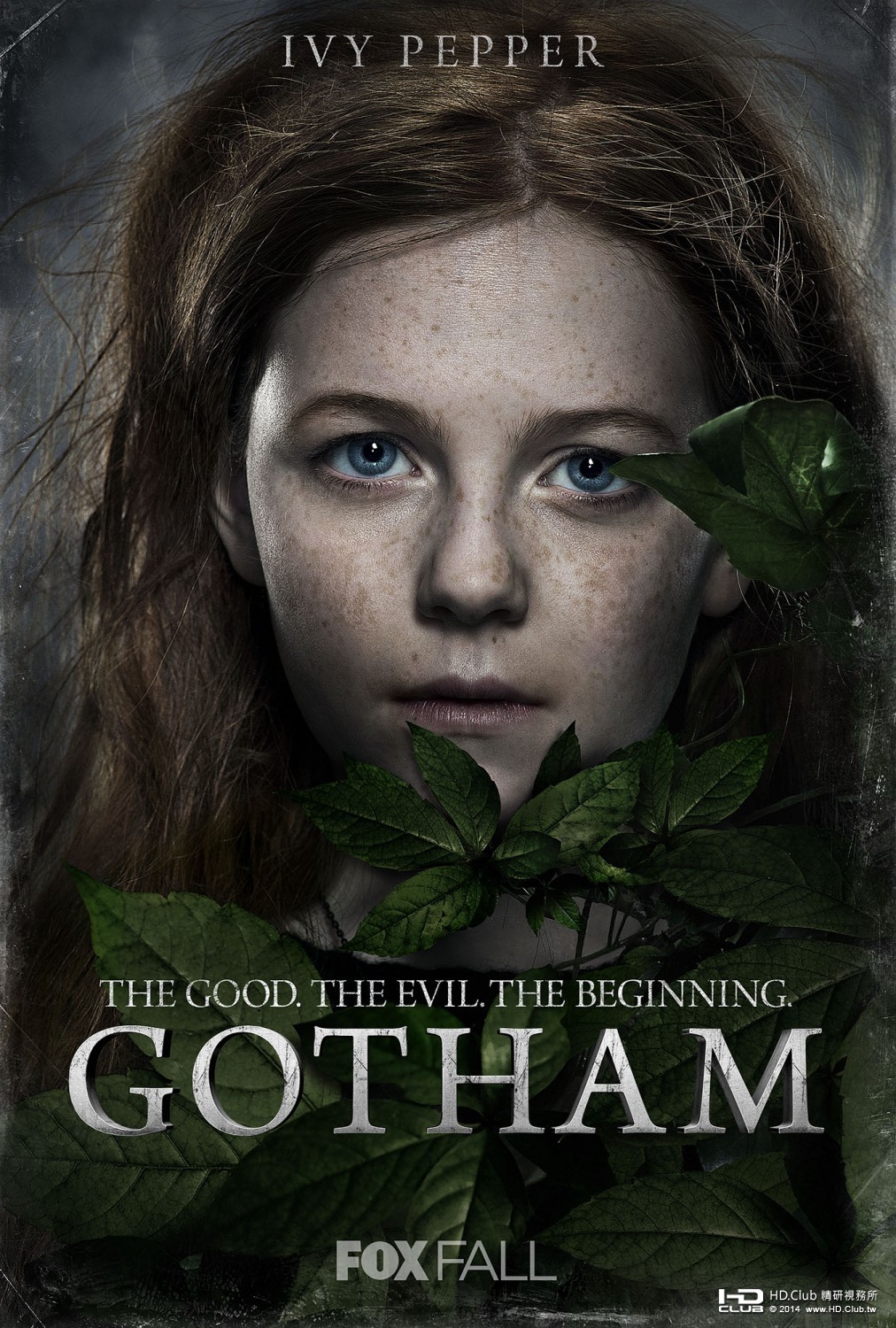 gotham_ver6_xlg.jpg