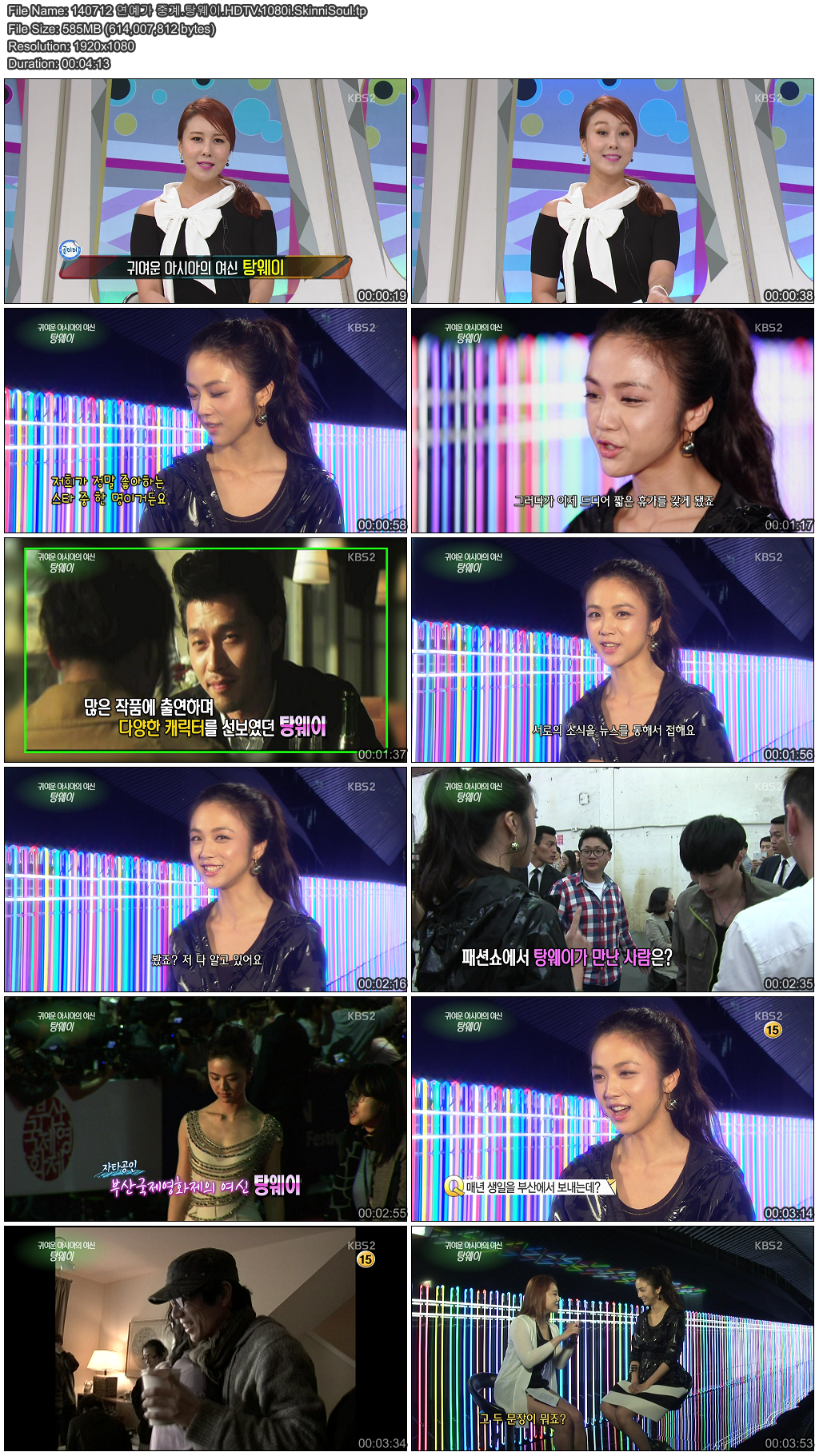 140712 연예가 중계.탕웨이.HDTV.1080i.SkinniSoul.tp.png