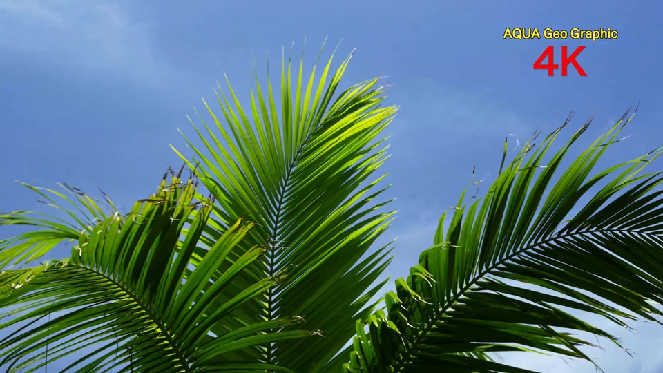 [4k高清演示片] 海与天BEACH FOOTAGE H.265 .mkv_000018.247.jpg