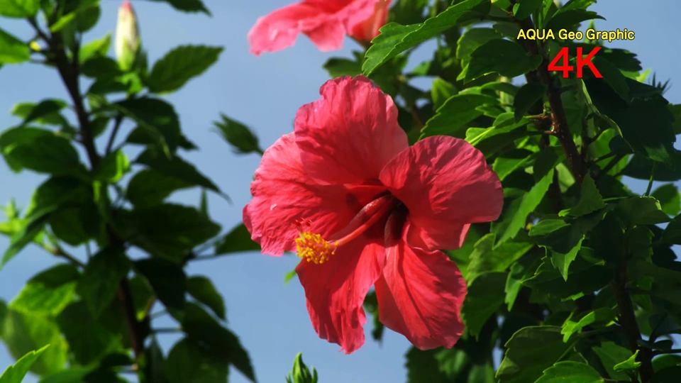 [4k高清演示片] 海与天BEACH FOOTAGE H.265 .mkv_000129.431.jpg