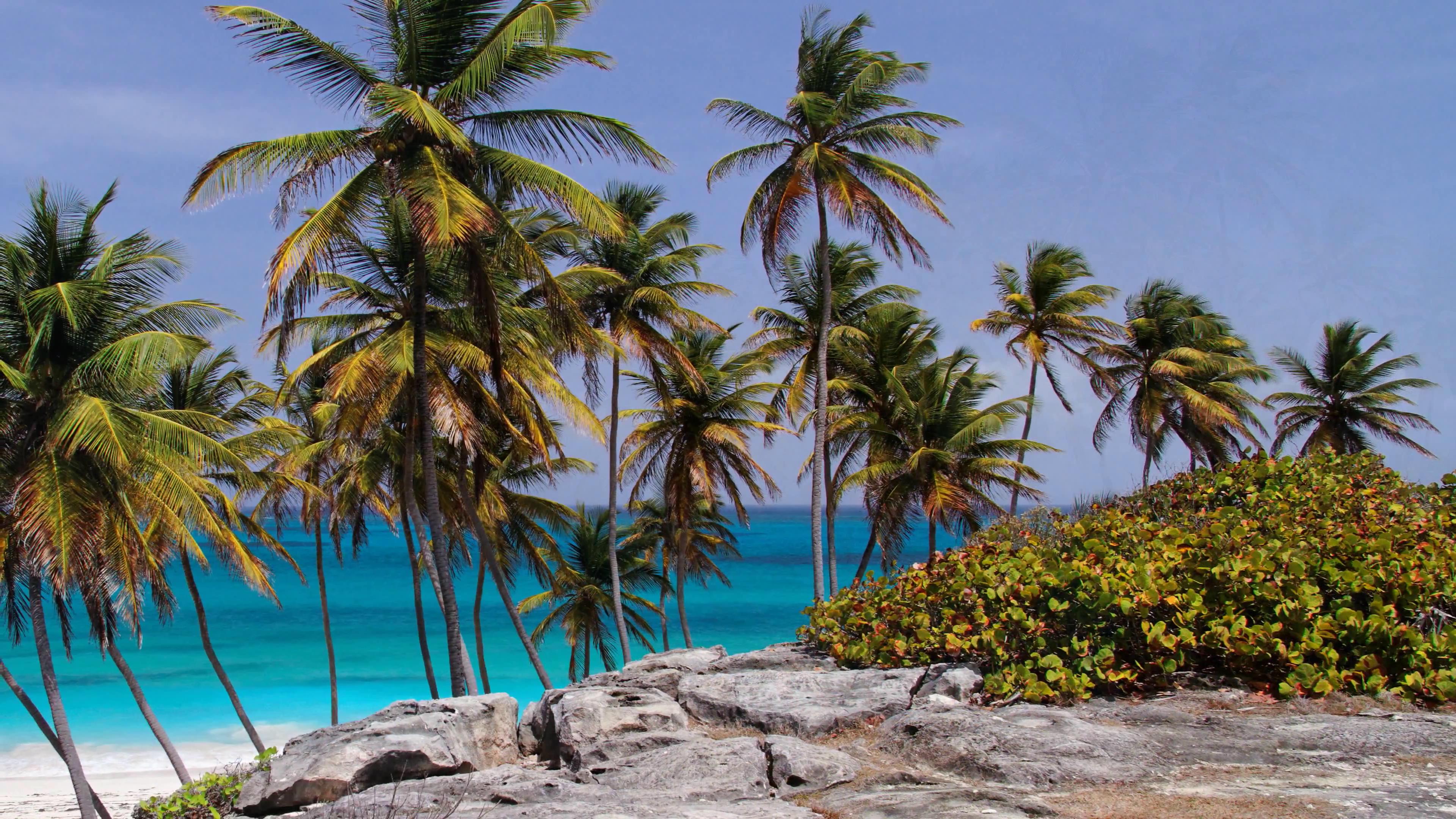 [4k超清演示片] 巴巴多斯海湾_201472513613.JPG