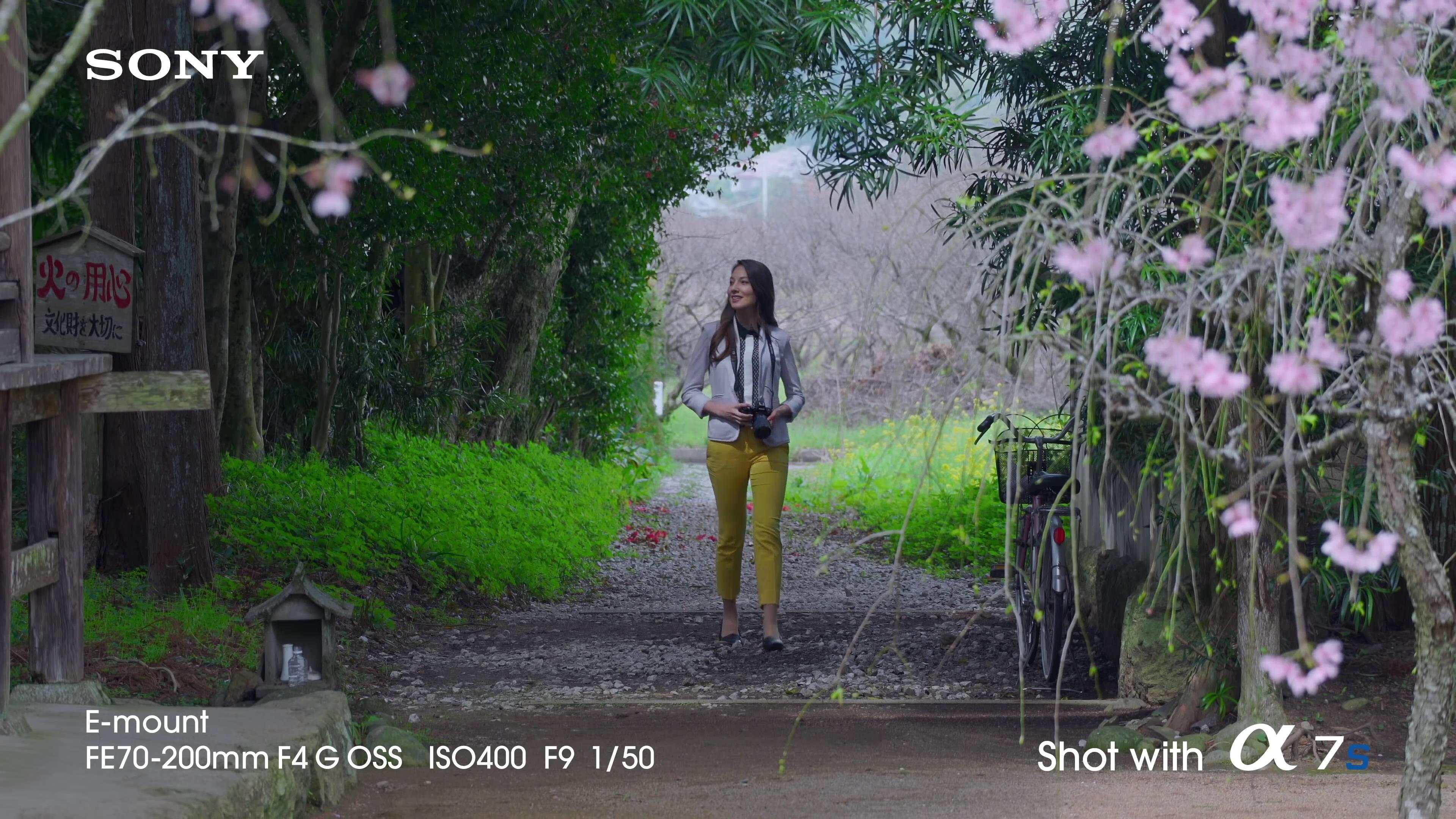 [索尼.4K.演示片] 全帧感光相机Sony A7s Full-Frame Sensor Camera- 4K Video Demo co.jpg