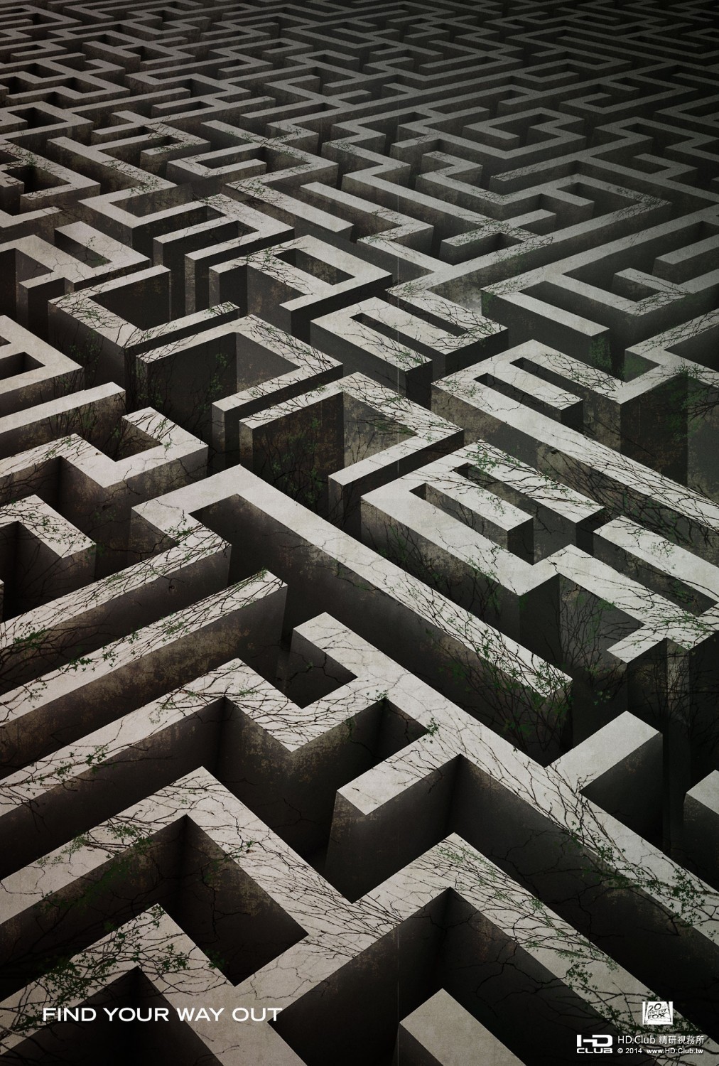 maze_runner_ver5_xlg.jpg