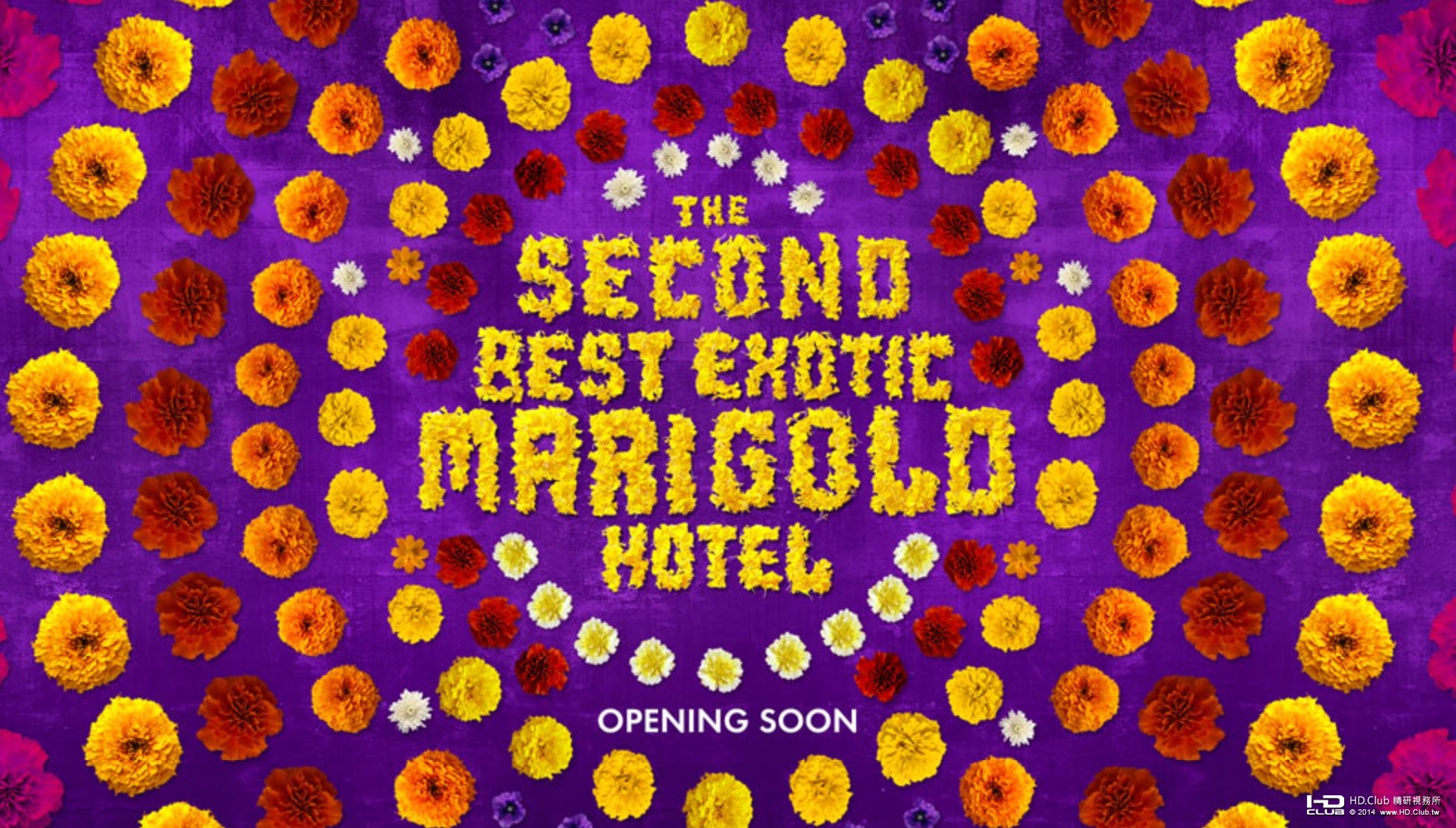 the-second-best-exotic-marigold-hotel-banner.jpg