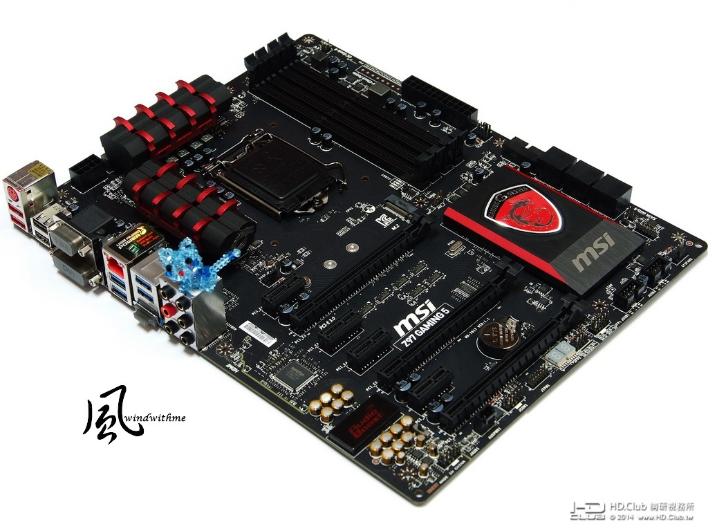MZ9704.jpg