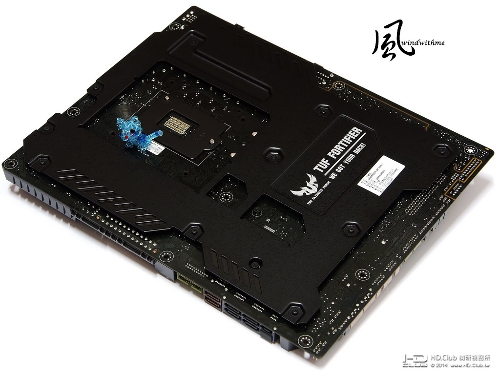 ASZ9708.jpg
