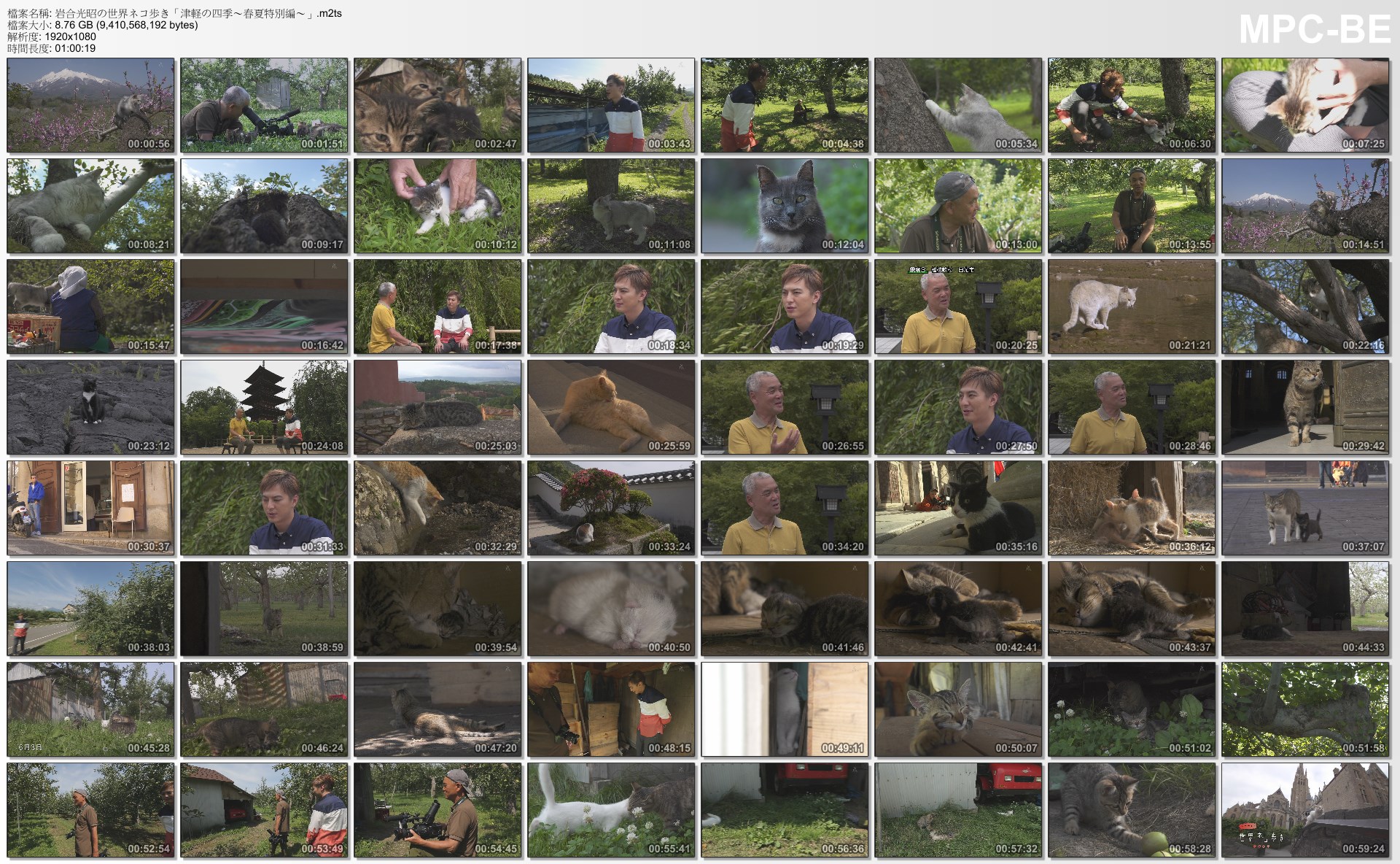 岩合光昭の世界ネコ歩き「津軽の四季～春夏特別編～」.jpg
