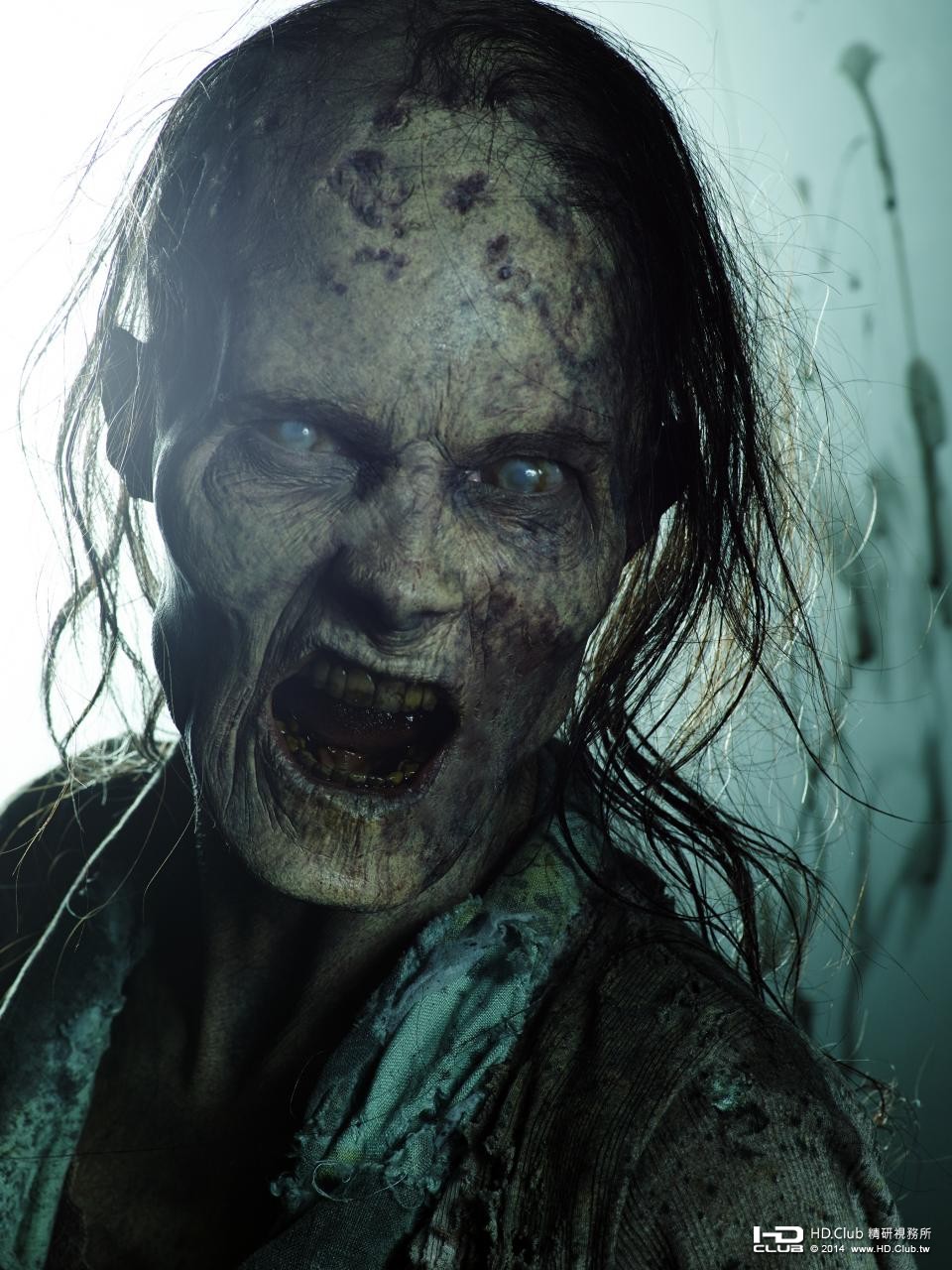 hr_The_Walking_Dead_-_Season_Five_20.jpg