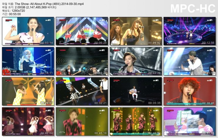 3177274625_0hJ4VIwg_The_Show-_All_About_K-Pop__48ED9A8C_.2014-09-30.mp4.jpg