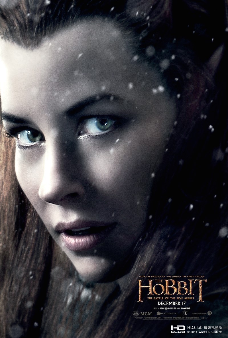 hobbit_the_battle_of_the_five_armies_ver10_xlg.jpg