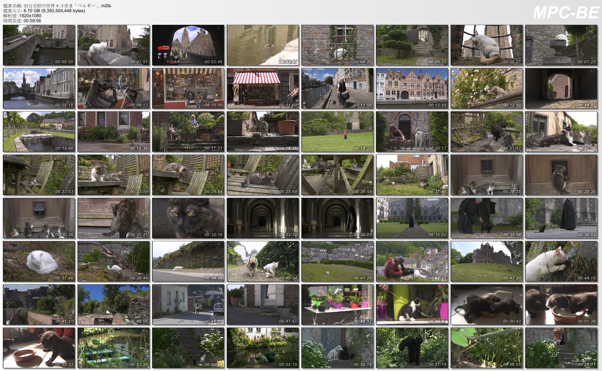 岩合光昭の世界ネコ歩き「ベルギー」