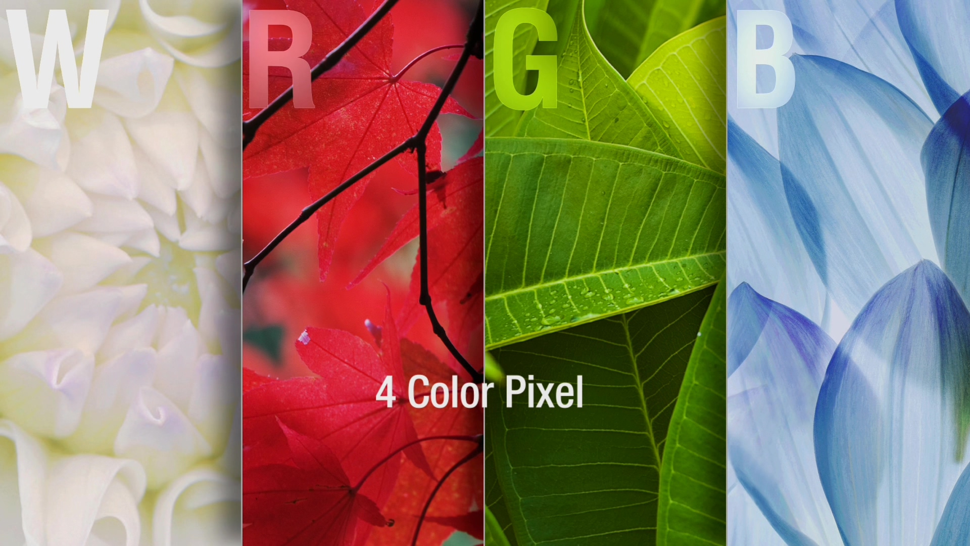 [LG高清演示片] 广告OLED_USP.tp_000123.879.jpg