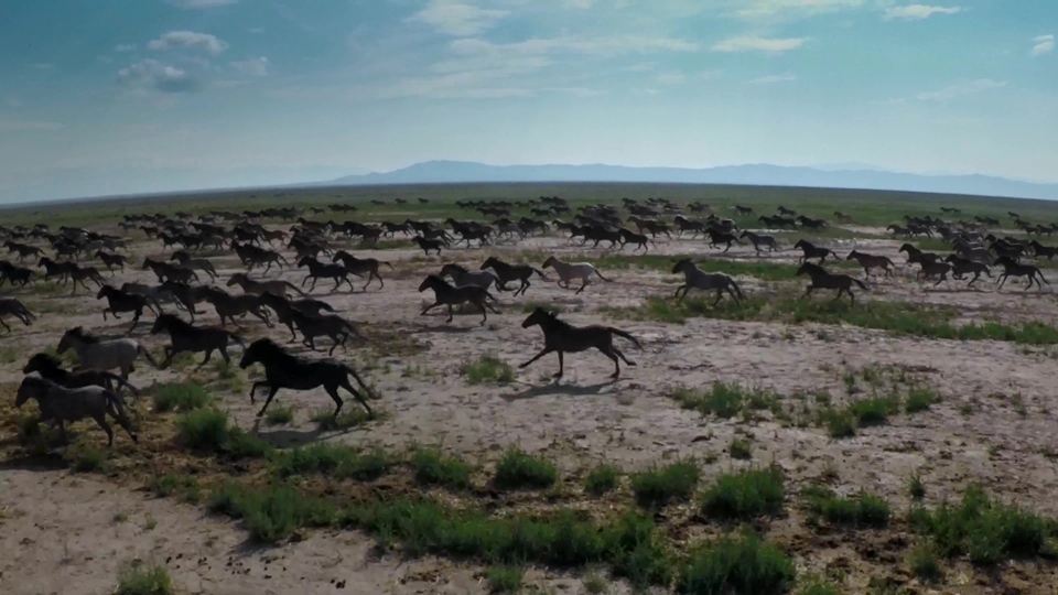 [4K高清演示片] 极限运动.冒险.精彩瞬间GoPro - Be a  HERO - 4K.mp4_000039.921.jpg.jpg