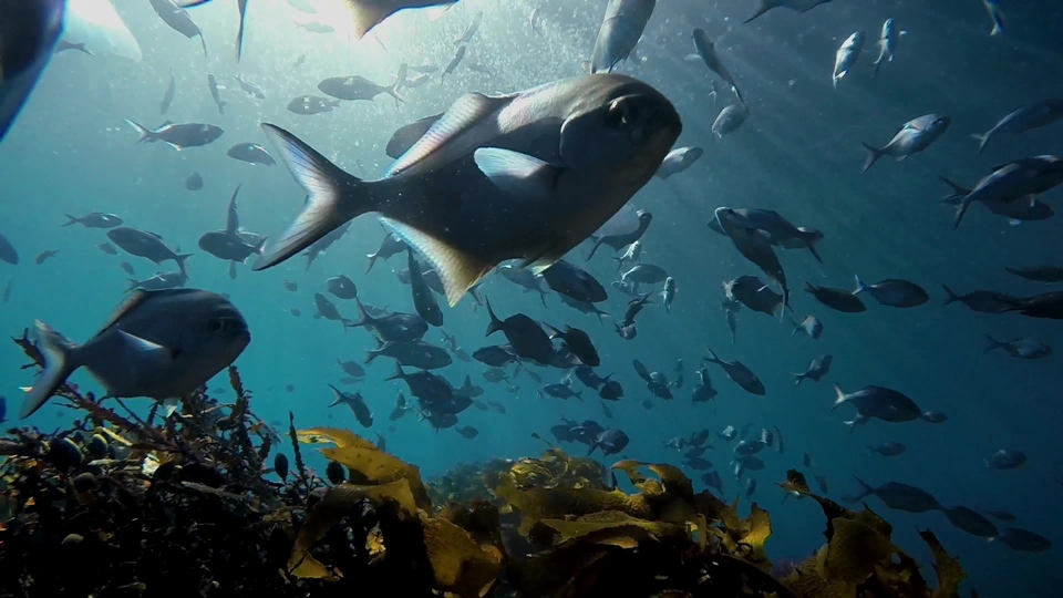 [4K高清演示片] 极限运动.冒险.精彩瞬间GoPro - Be a  HERO - 4K.mp4_000043.215.jpg.jpg