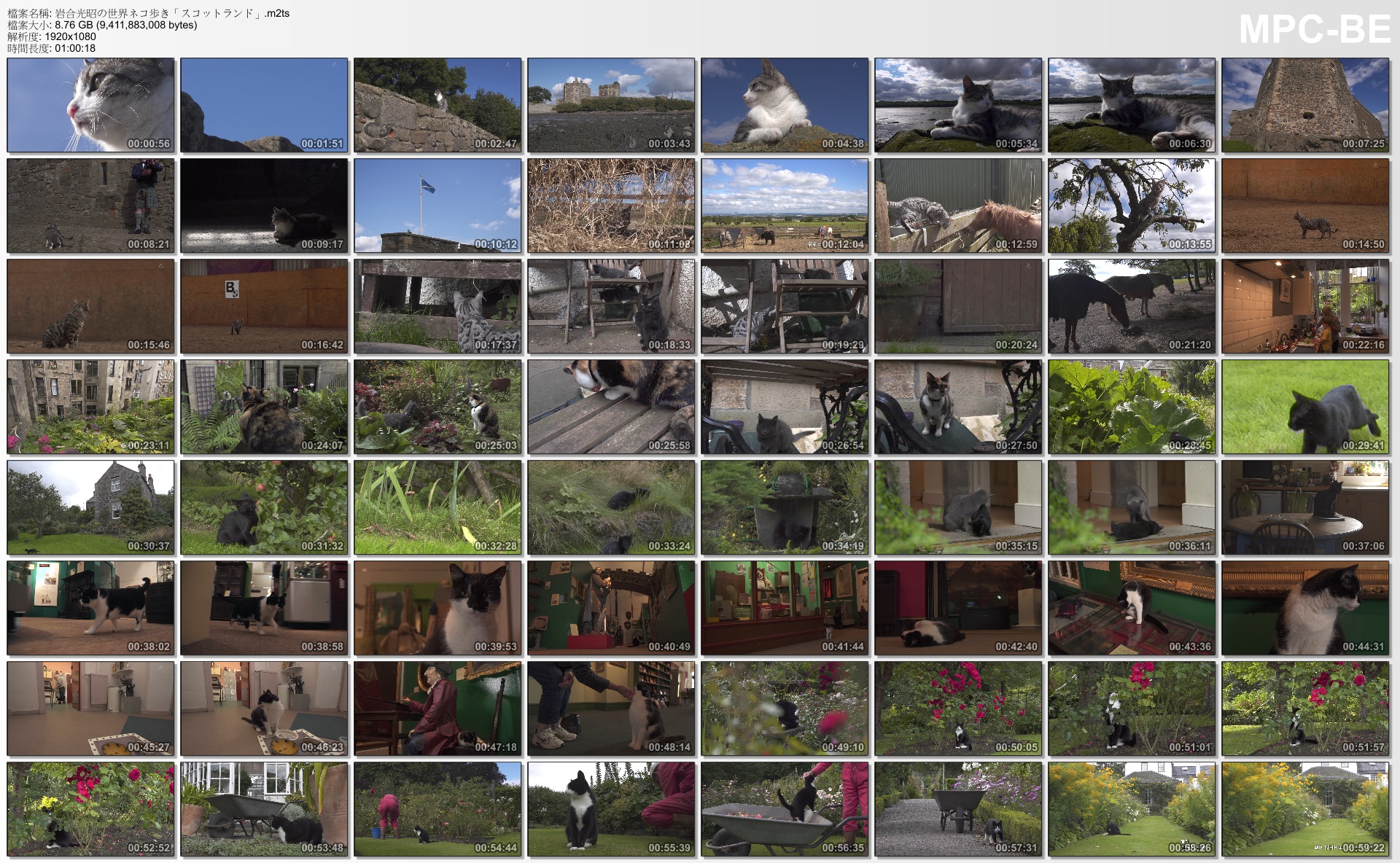 岩合光昭の世界ネコ歩き「スコットランド」.m2ts_thumbs_[2014.11.27_00.41.46].jpg.jpg