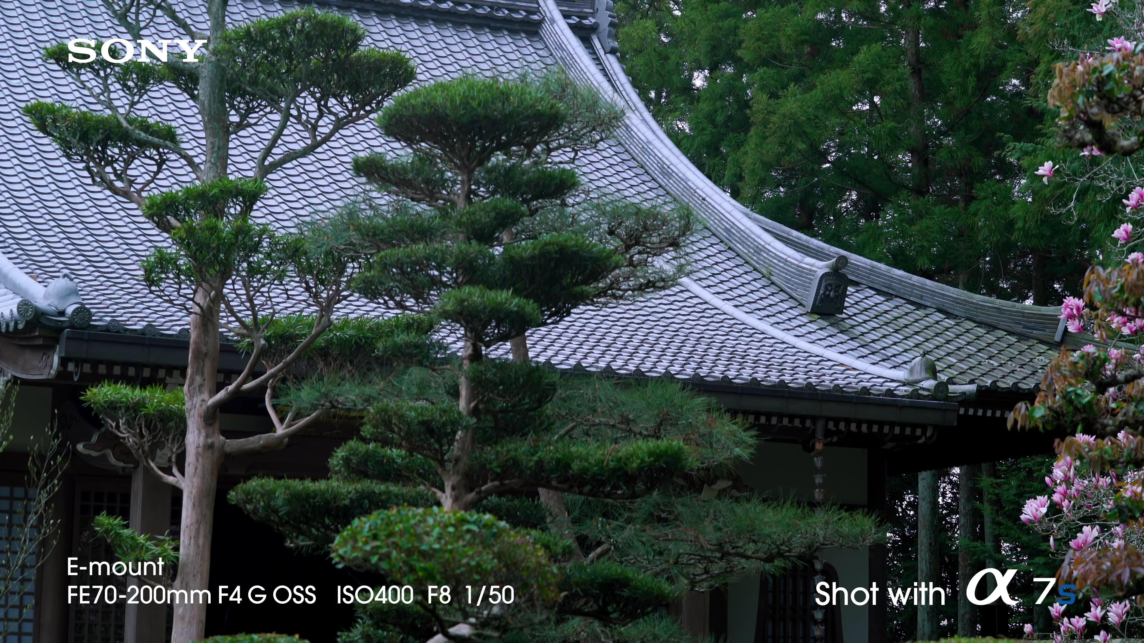 [索尼.4K.演示片] 全帧感光相机Sony A7s Full-Frame Sensor Camera- 4K Video Demo co.jpg
