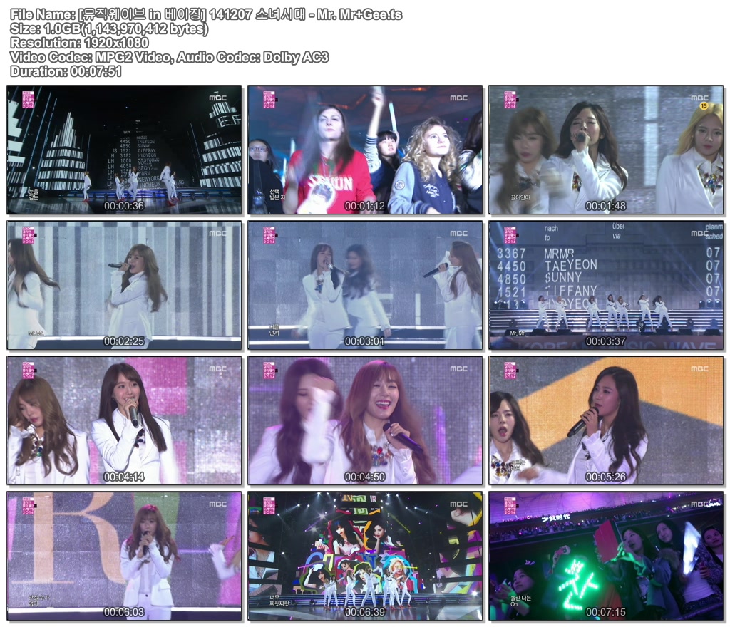 [뮤직웨이브 in 베이징] 141207 소녀시대 - Mr. Mr Gee.ts.jpg