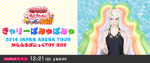 きゃりーぱみゅぱみゅ 2014 JAPAN ARENA TOUR からふるぱにっくTOY BOX2.jpg