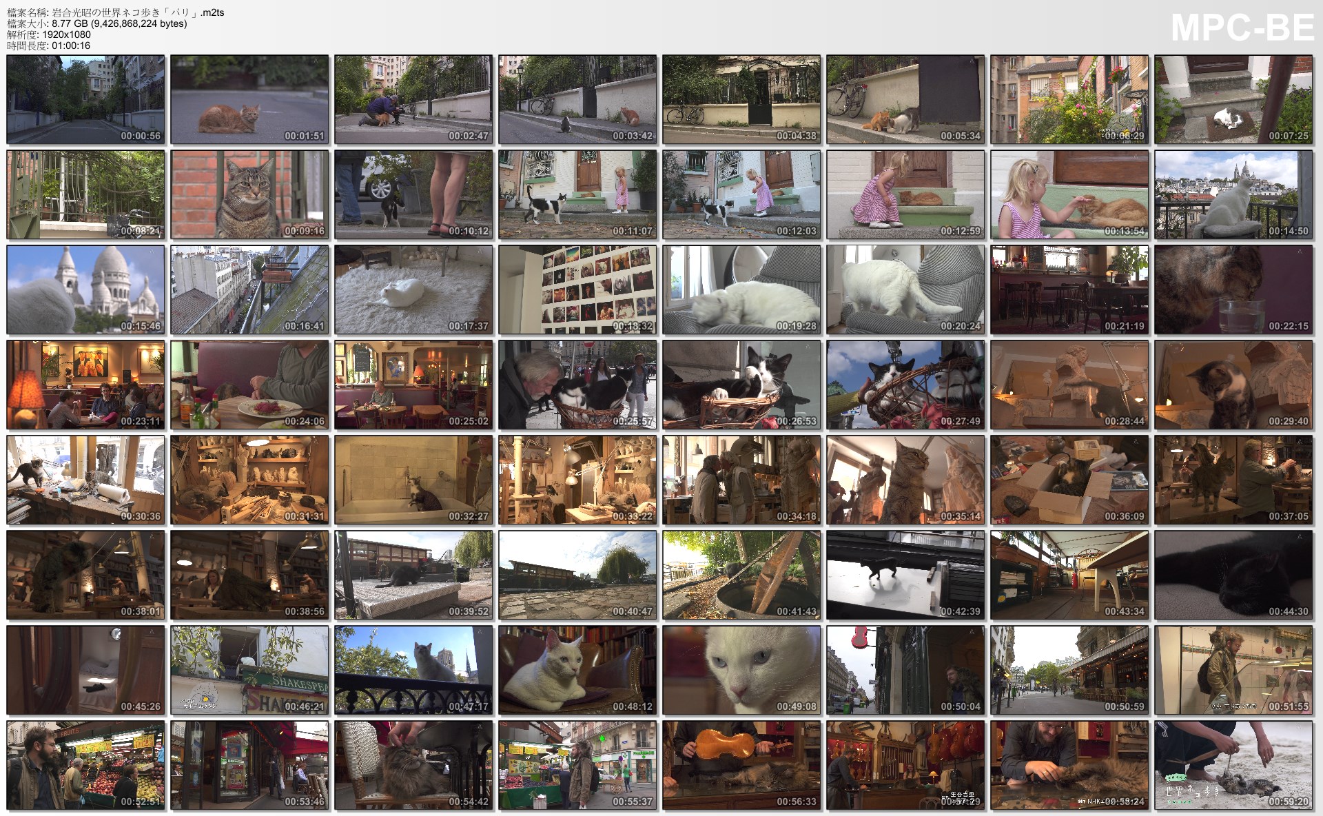 岩合光昭の世界ネコ歩き「パリ」.m2ts_thumbs_[2014.12.27_12.48.48].jpg