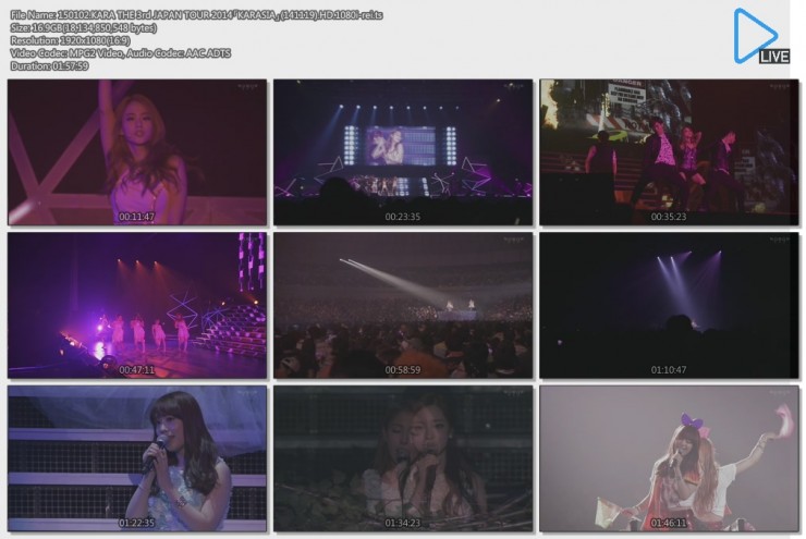 1889676257_6M29ecWv_150102.KARA_THE_3rd_JAPAN_TOUR_2014A1B8KARASIAA1B92814111929.jpg