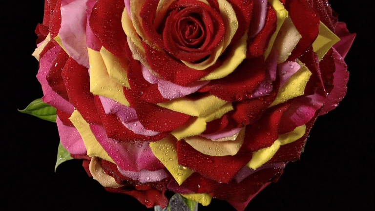 [先锋高清演示片] 前所未有的视听.m2ts_20150113_000442.390.jpg