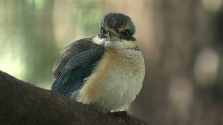 [松下高清演示片] 铁路.m2ts_20150117_131344.312.jpg