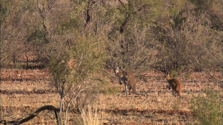 [松下高清演示片] 铁路.m2ts_20150117_131421.140.jpg