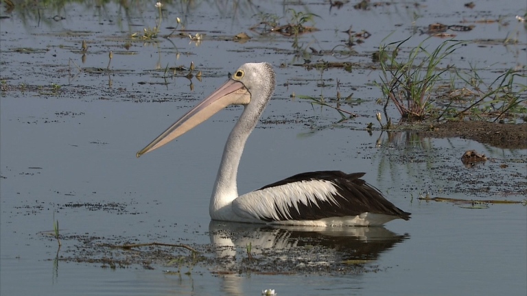 [松下高清演示片] 铁路.m2ts_20150117_131718.015.jpg