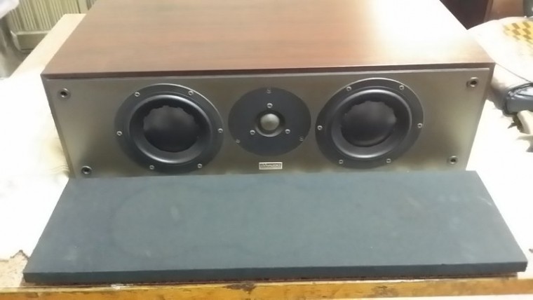 Dynaudio Audience Center Rosewood Vinyl