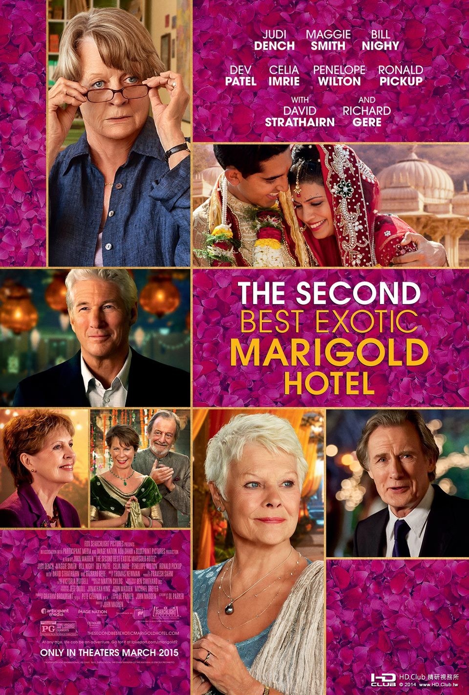 second_best_exotic_marigold_hotel_ver3_xlg.jpg