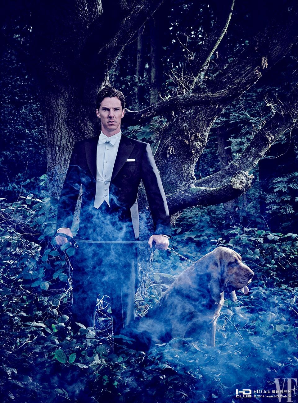 54d0f8b0d767a59853f692a6_hollywood-british-portofolio-2015-03-ss02.jpg