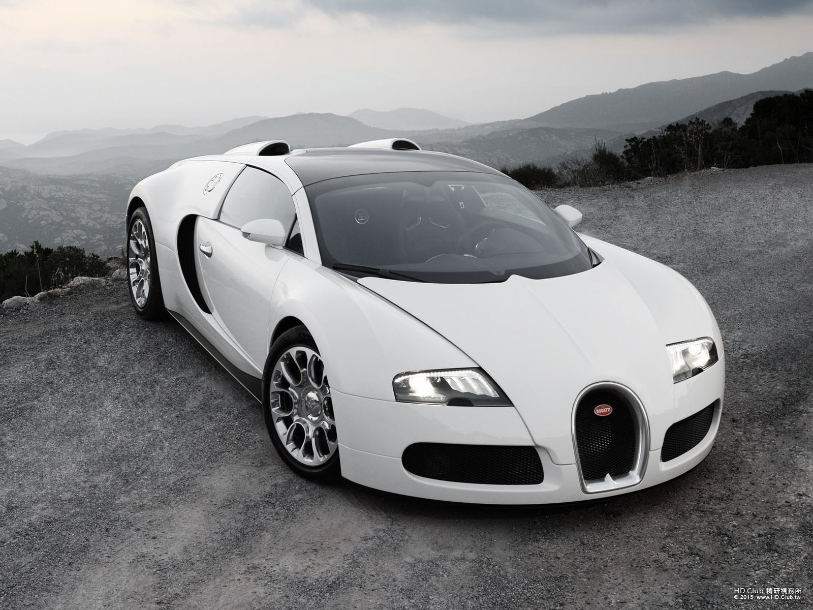 2011 Bugatti Veyron.jpg