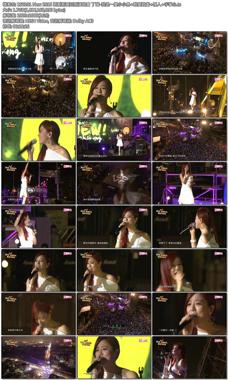 150101 New 2015 再創新高迎新演唱會 丁噹-我是一隻小小鳥 敢愛敢當 親人 手掌心.ts.j.jpg