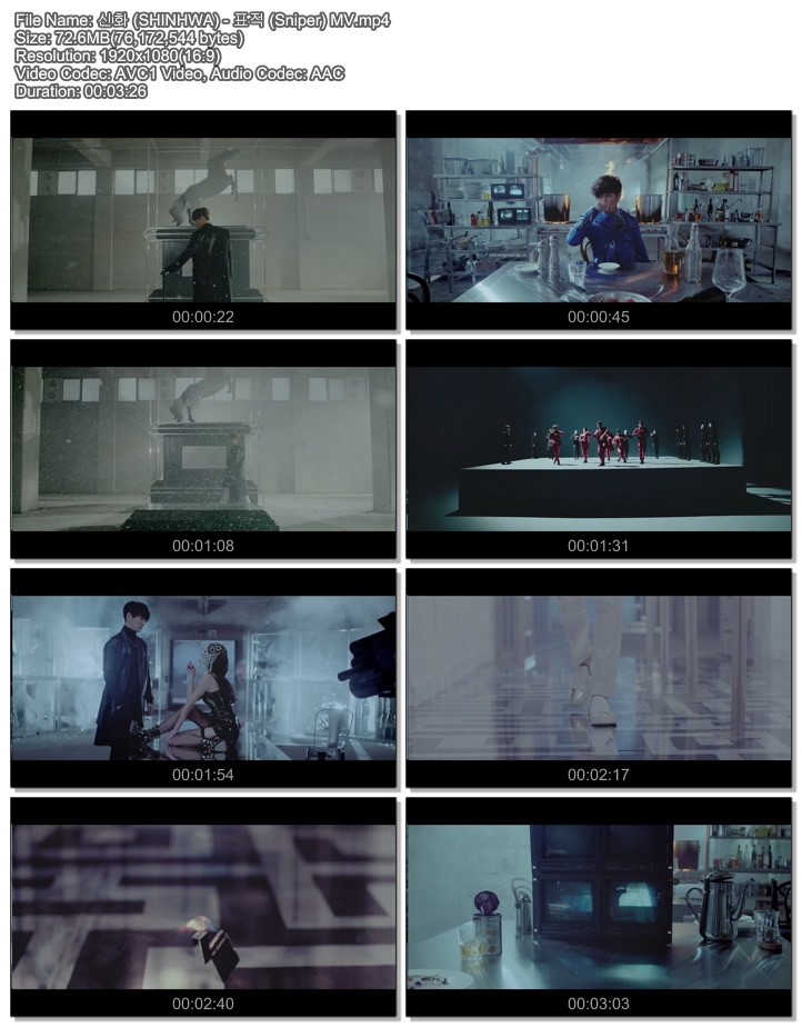 2949361120_7R5cCpP9_BDC5C8AD_28SHINHWA29_-_C7A5C0FB_28Sniper29_MV.mp4.jpg