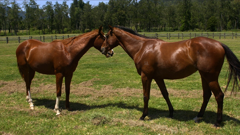 [夏普.4K.演示片] 回忆Recollection_100Mbps.mkv_20150420_154442.375.jpg